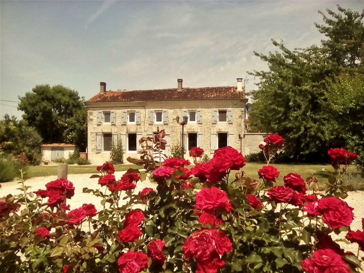 Maison Lavande Bed and Breakfast Saint-Jean-dʼAngély Zewnętrze zdjęcie